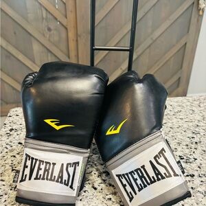 Everlast Pro Style Training Gloves in Black and Gray